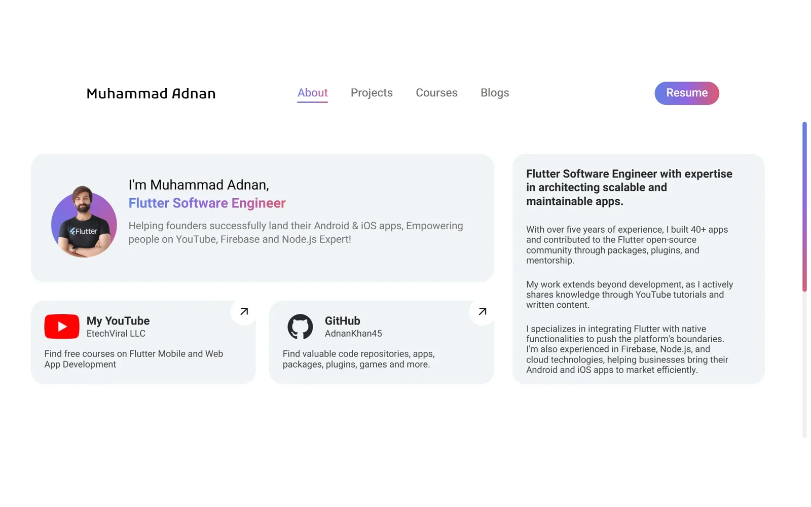 Muhammad Adnan Portfolio preview